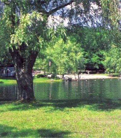 Spacious Skies Campgrounds - Woodland Hills - Austerlitz, NY