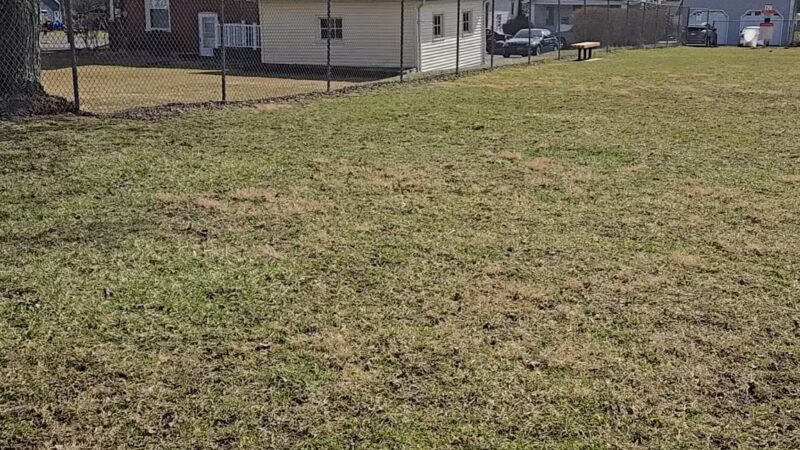 Avis Dog Park - Avis, PA