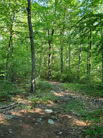 Found Land Park - Avon, CT