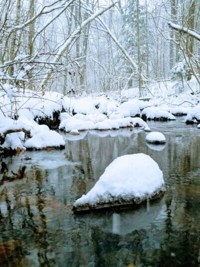 Found Land Park - Avon, CT