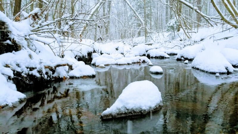 Found Land Park - Avon, CT
