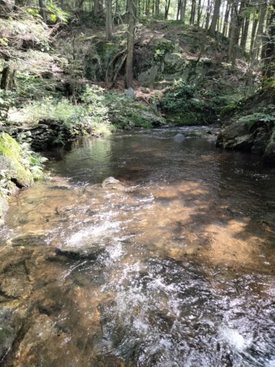 Sperry Park - Avon, CT