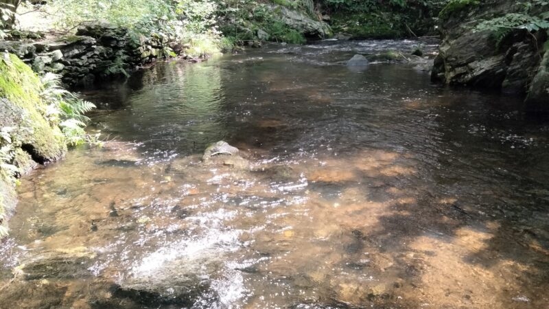 Sperry Park - Avon, CT