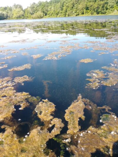 Sperry Park - Avon, CT