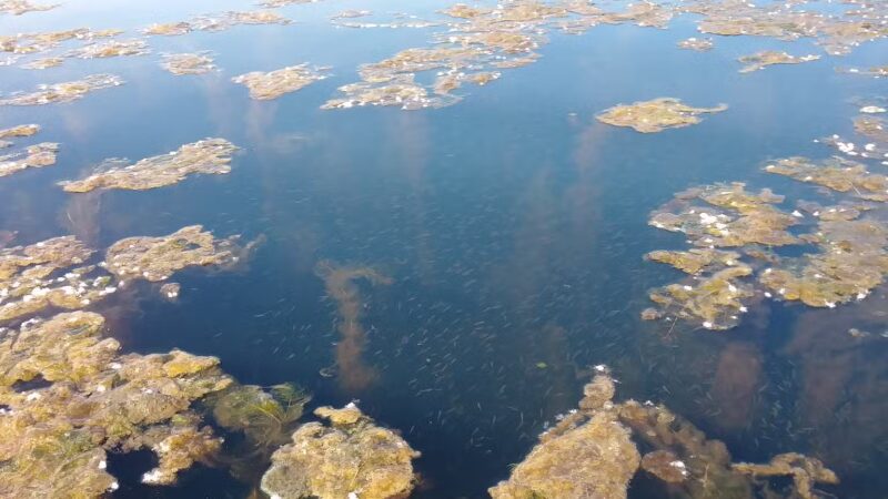 Sperry Park - Avon, CT