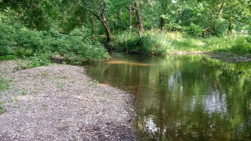 Avon Driving Park - Avon, NY