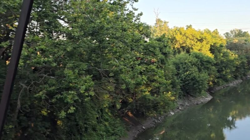 Erie-Attica Trail Parking - Avon, NY