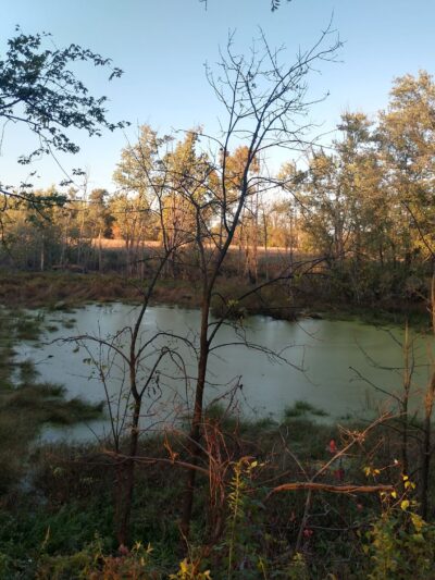 Erie-Attica Trail Parking - Avon, NY