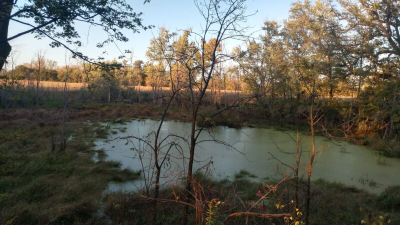 Erie-Attica Trail Parking - Avon, NY