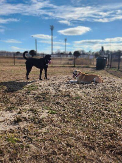 Ayden District Inclusive Park - Ayden, NC