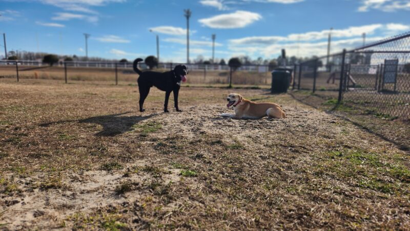 Ayden District Inclusive Park - Ayden, NC
