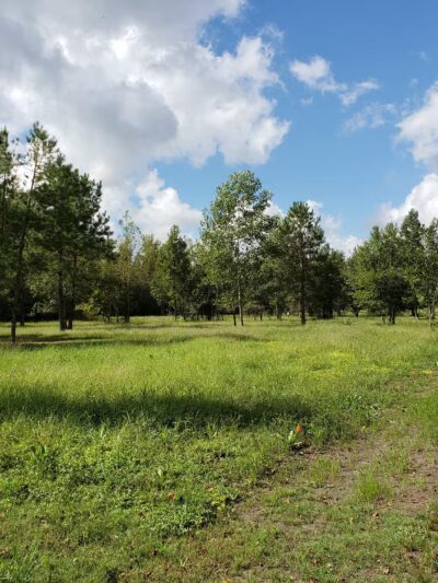 Ayden District Inclusive Park - Ayden, NC