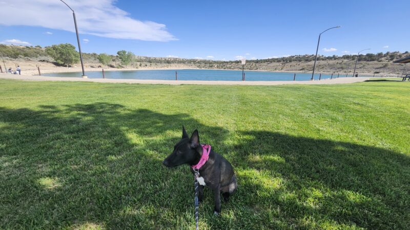 Aztec Dog Park - Aztec, NM