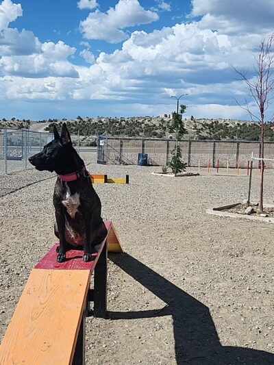 Aztec Dog Park - Aztec, NM