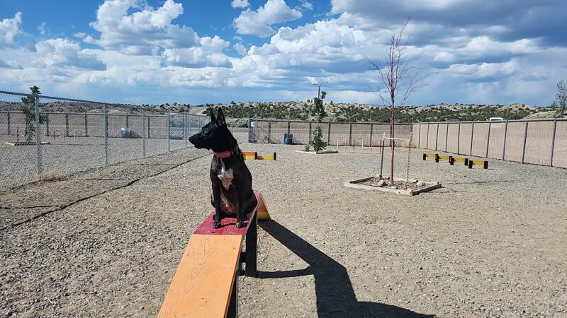 Aztec Dog Park - Aztec, NM