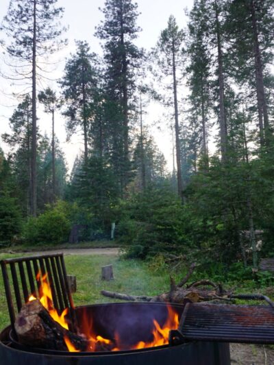 Eshom Campground - Badger, CA