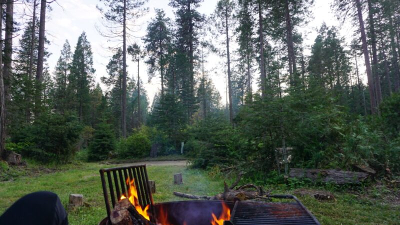 Eshom Campground - Badger, CA