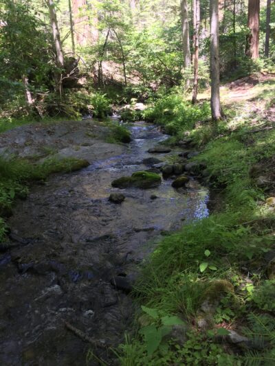 Eshom Campground - Badger, CA