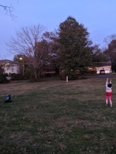 Hogge Park - Bailey's Crossroads, VA