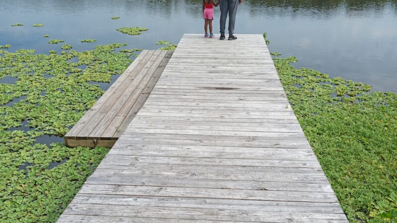 Greenwood Community Park - Baker, LA