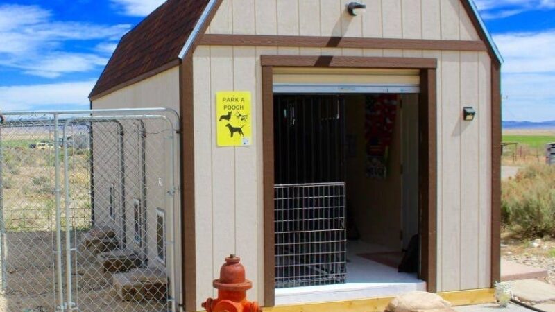 park a pooch - Baker, NV