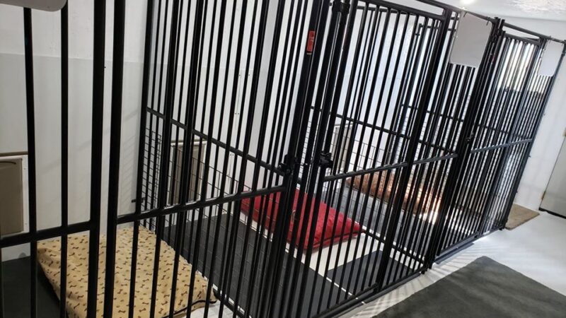 park a pooch - Baker, NV