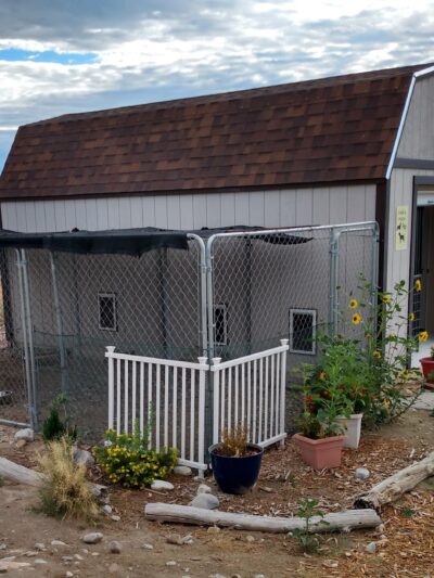 park a pooch - Baker, NV