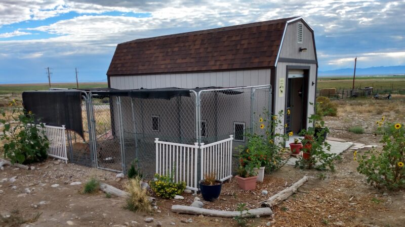 park a pooch - Baker, NV