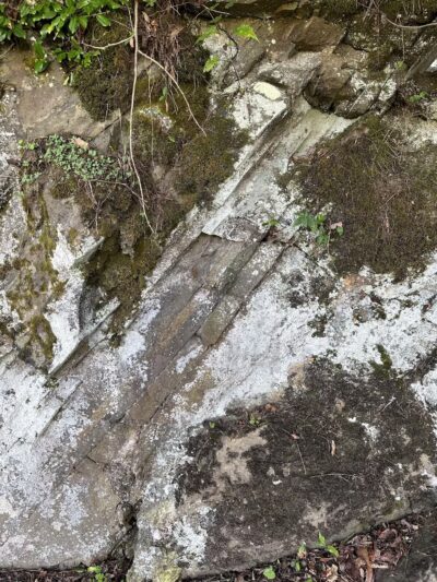 Bakersville Creek Walk - Bakersville, NC