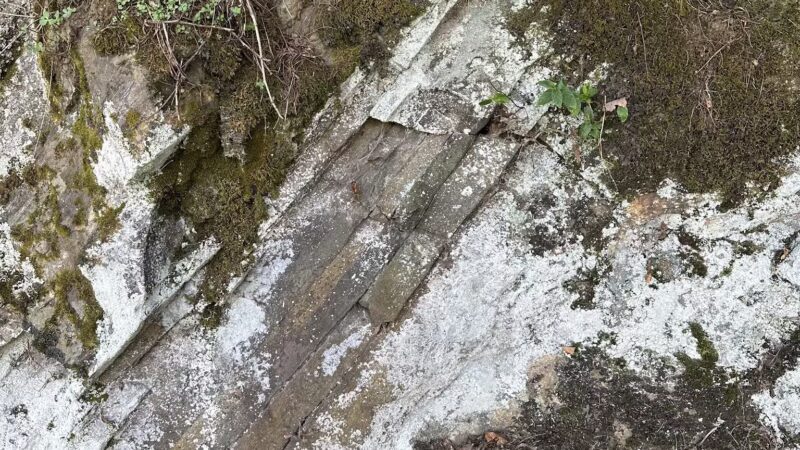 Bakersville Creek Walk - Bakersville, NC