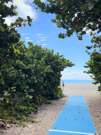 Haulover Dog Beach - Bal Harbour, FL