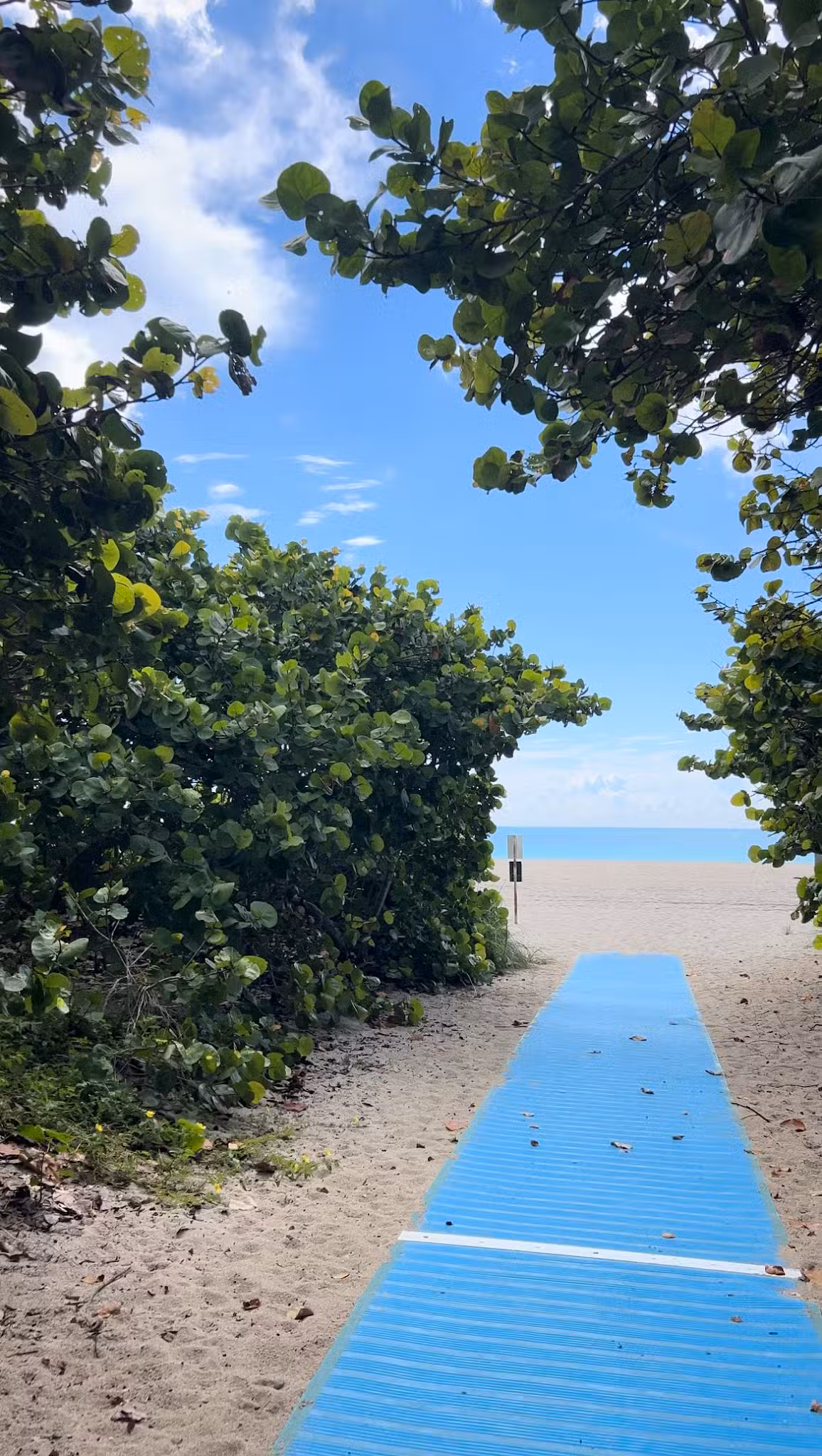 Haulover Dog Beach - Bal Harbour, FL