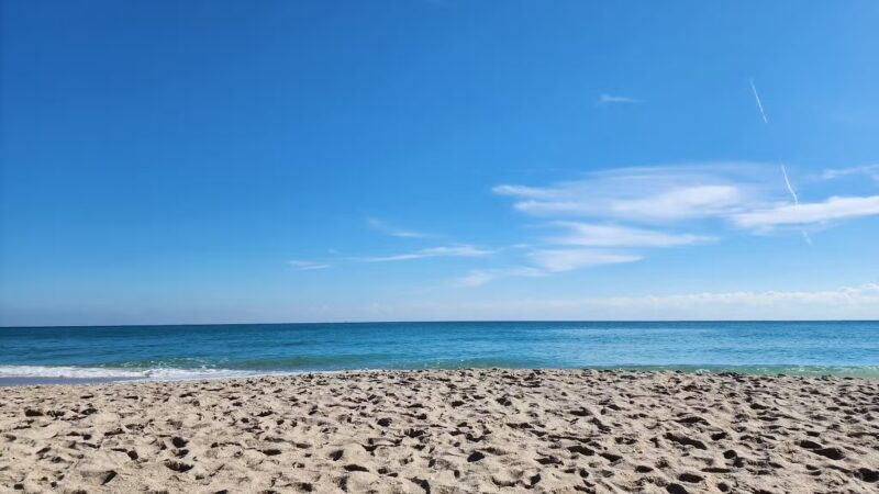 HAULOVER PARK (PLAYITA) - Bal Harbour, FL