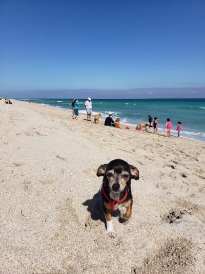 HAULOVER PARK (PLAYITA) - Bal Harbour, FL