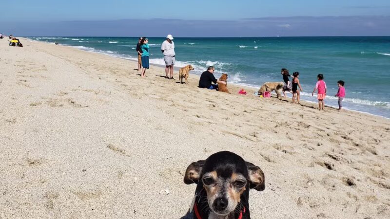 HAULOVER PARK (PLAYITA) - Bal Harbour, FL