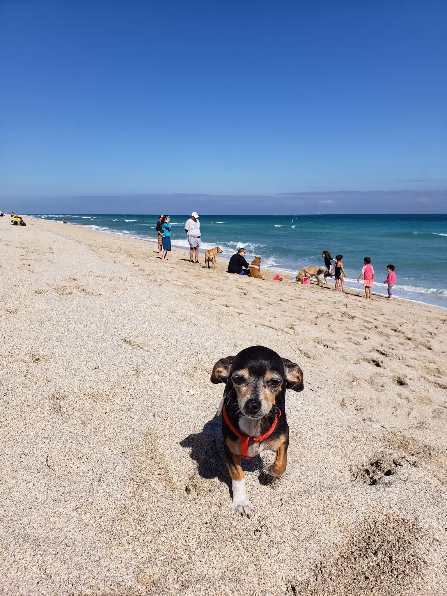 HAULOVER PARK (PLAYITA) - Bal Harbour, FL