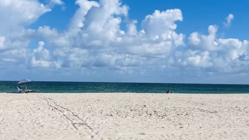 HAULOVER PARK (PLAYITA) - Bal Harbour, FL