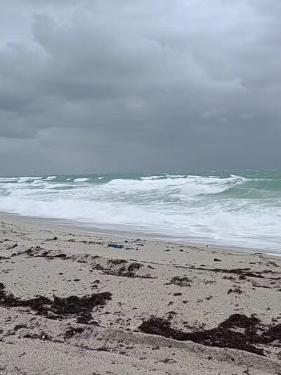 HAULOVER PARK (PLAYITA) - Bal Harbour, FL