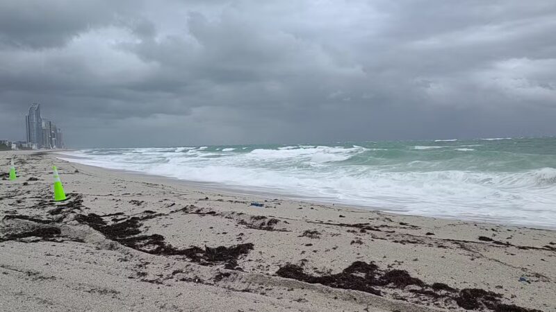 HAULOVER PARK (PLAYITA) - Bal Harbour, FL