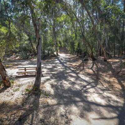 Walnut Creek Nature Park - Baldwin Park, CA