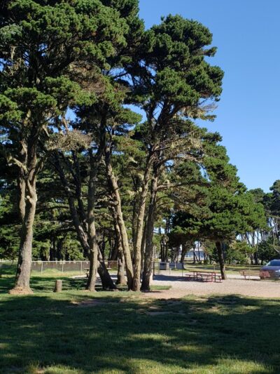 Bandon Dog Park - Bandon, OR