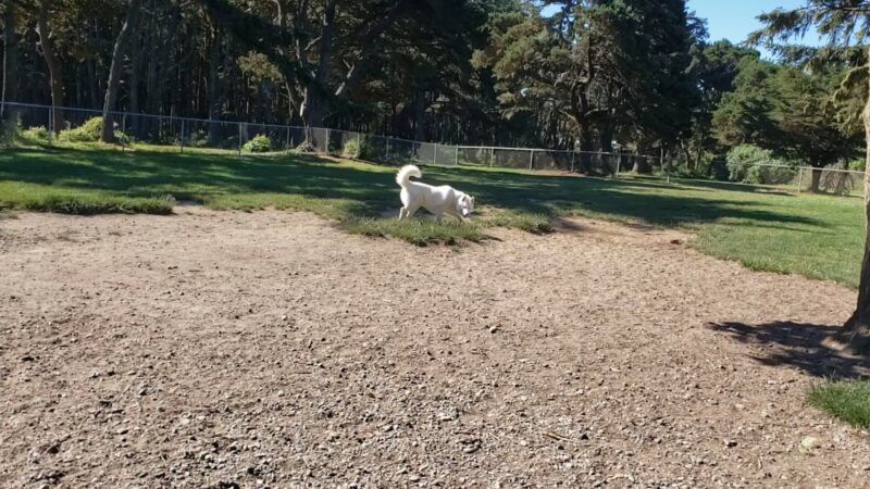 Bandon Dog Park - Bandon, OR