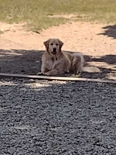 Bandon Dog Park - Bandon, OR