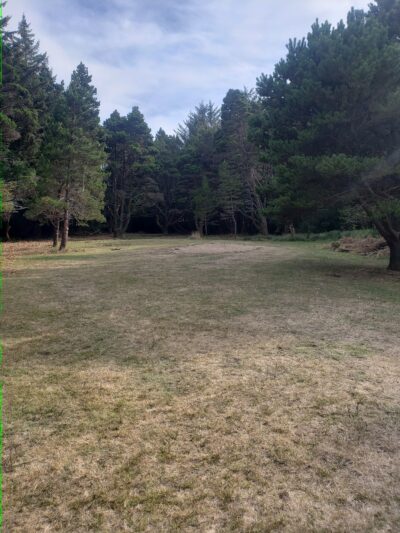 Dog Park - Bandon, OR