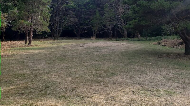 Dog Park - Bandon, OR