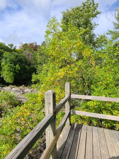 Kenduskeag Stream Trail - Bangor, ME