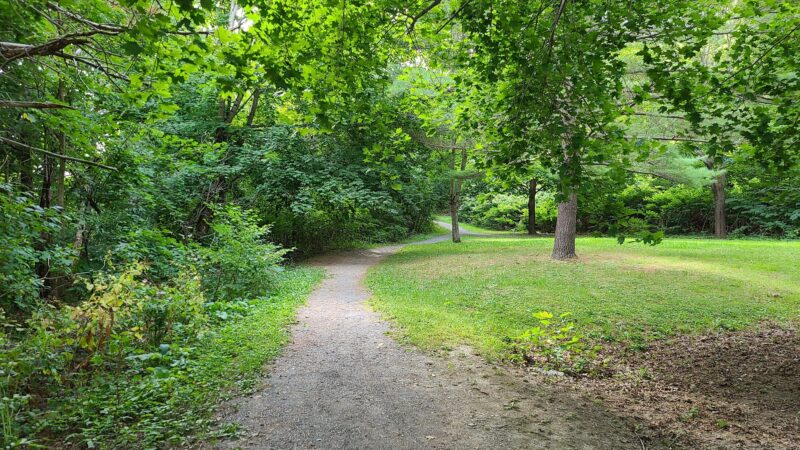 Kenduskeag Stream Trail - Bangor, ME