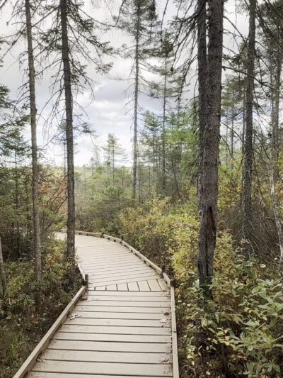 Orono Bog Boardwalk - Bangor, ME