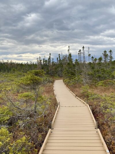 Orono Bog Boardwalk - Bangor, ME