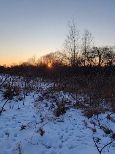 Saxl Park - Bangor, ME